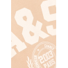 1E26BENJ