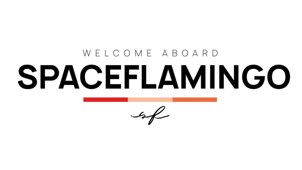 NOVEDADES SPACE FLAMINGO