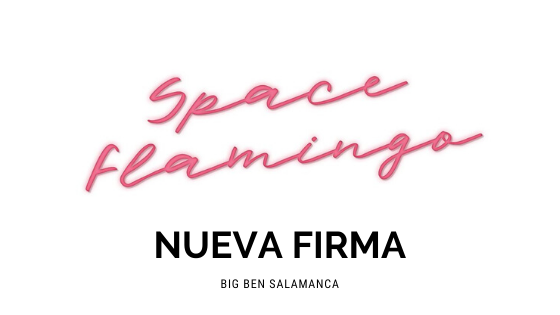 SPACE FLAMINGO
